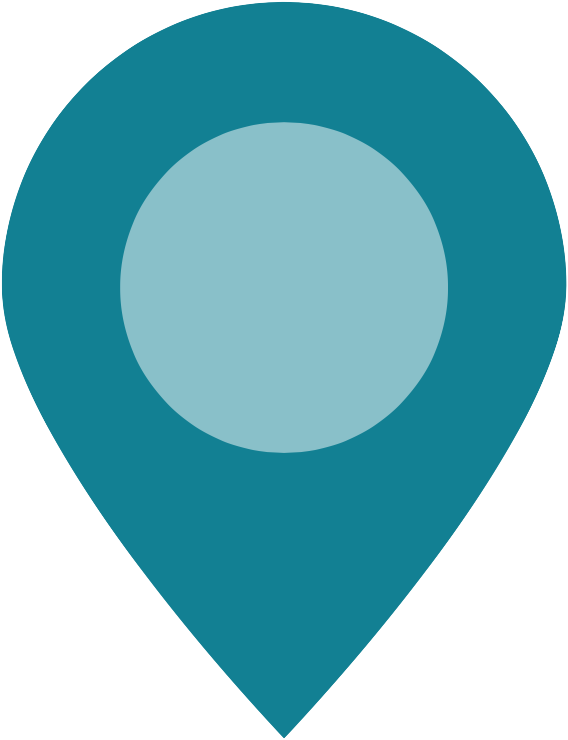 pin icon